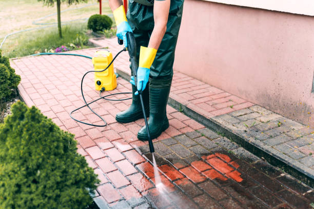 Best Local Pressure Washing Services  in Staunton, IL