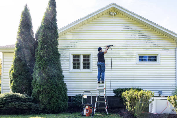 Best Roof Power Washing Services  in Staunton, IL