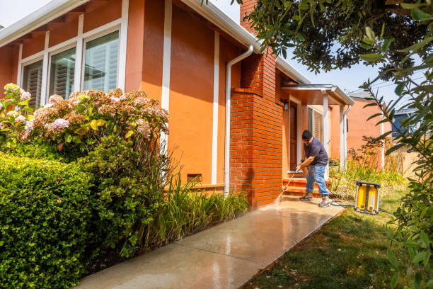 Best Garage Pressure Washing  in Staunton, IL