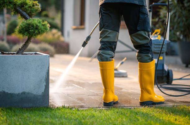 Best Fence Pressure Washing  in Staunton, IL